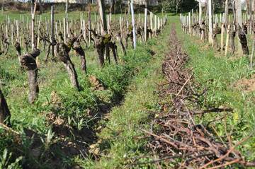 TRAVAUX EN VERTS