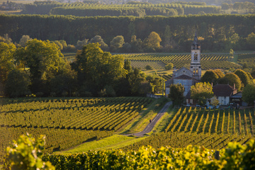 Paysagiste à Sauternes