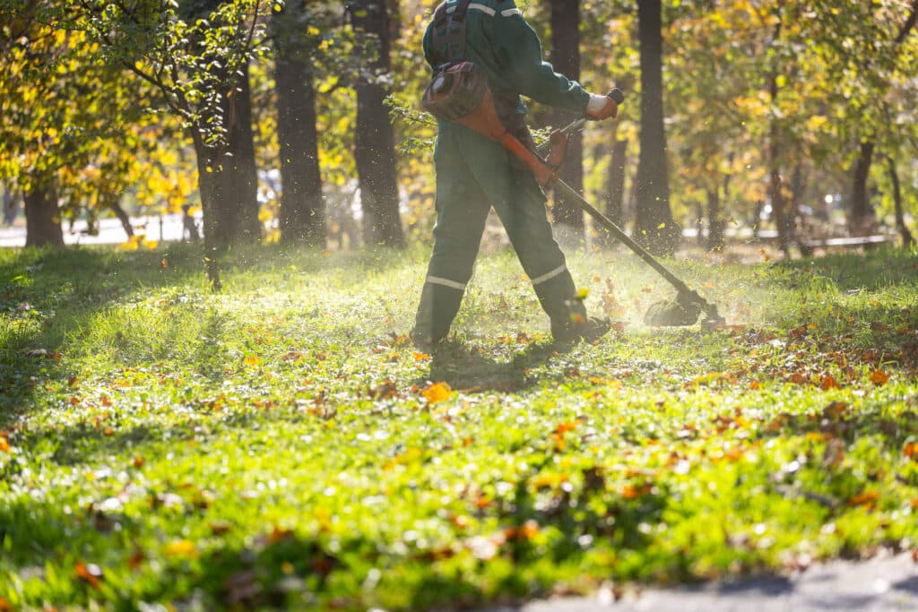 paysagiste professionnel en train de débroussailler le sol d'une forêt